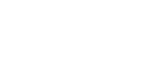 Bloom Vision